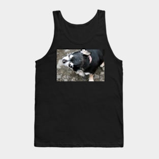 The Itch Tank Top